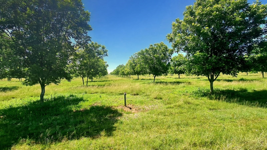 Commercial Property for Sale in Bainsvlei Free State